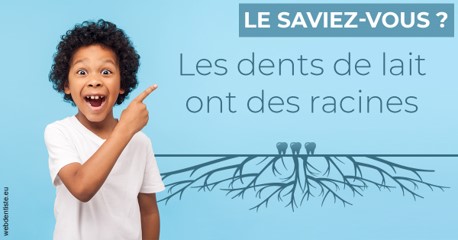 https://www.dr-renard-orthodontiste.fr/Les dents de lait 2