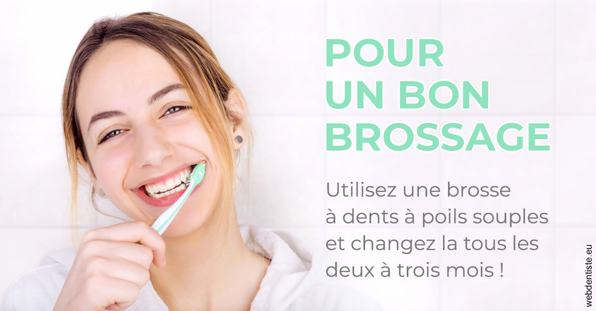 https://www.dr-renard-orthodontiste.fr/Pour un bon brossage 2