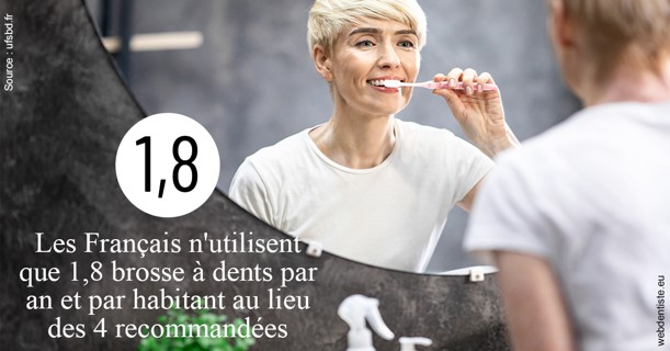 https://www.dr-renard-orthodontiste.fr/Français brosses 2
