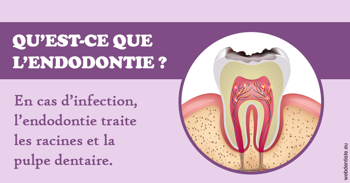 https://www.dr-renard-orthodontiste.fr/2024 T1 - Endodontie 02