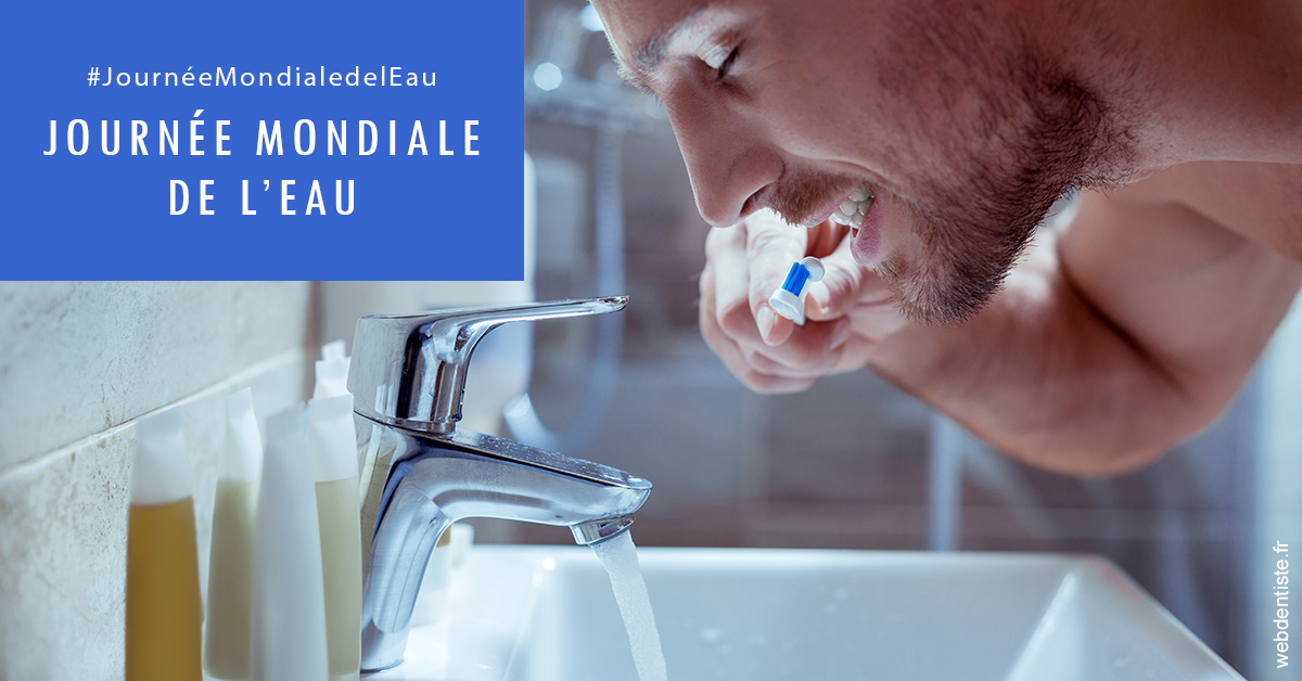 https://www.dr-renard-orthodontiste.fr/Journée de l'eau 2