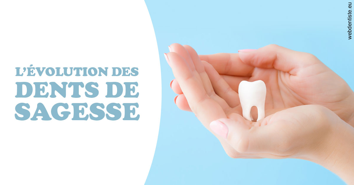 https://www.dr-renard-orthodontiste.fr/Evolution dents de sagesse 1