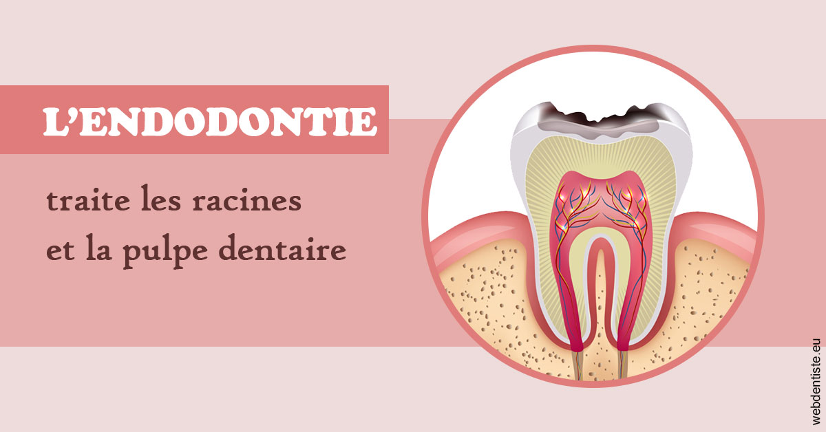 https://www.dr-renard-orthodontiste.fr/L'endodontie 2