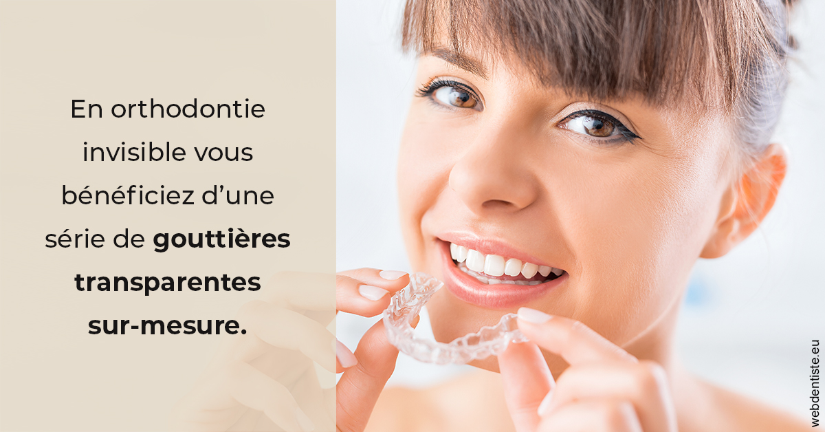 https://www.dr-renard-orthodontiste.fr/Orthodontie invisible 1