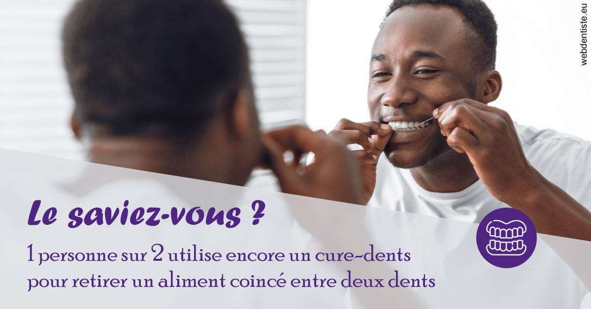 https://www.dr-renard-orthodontiste.fr/Cure-dents 2