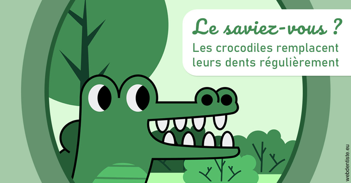 https://www.dr-renard-orthodontiste.fr/Crocodiles 2