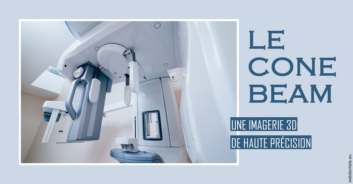 https://www.dr-renard-orthodontiste.fr/T2 2023 - Cone Beam 2