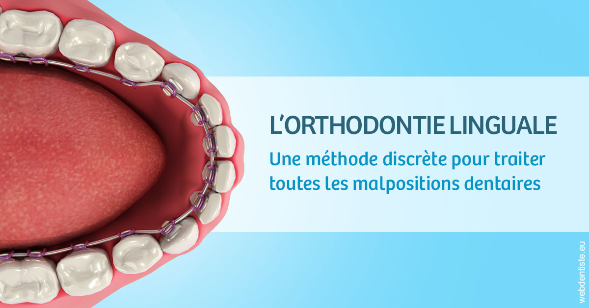 https://www.dr-renard-orthodontiste.fr/L'orthodontie linguale 1