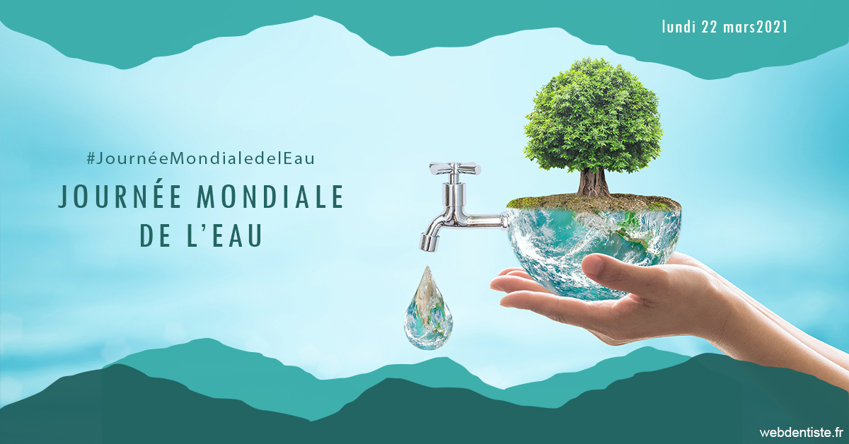 https://www.dr-renard-orthodontiste.fr/Journée de l'eau 1