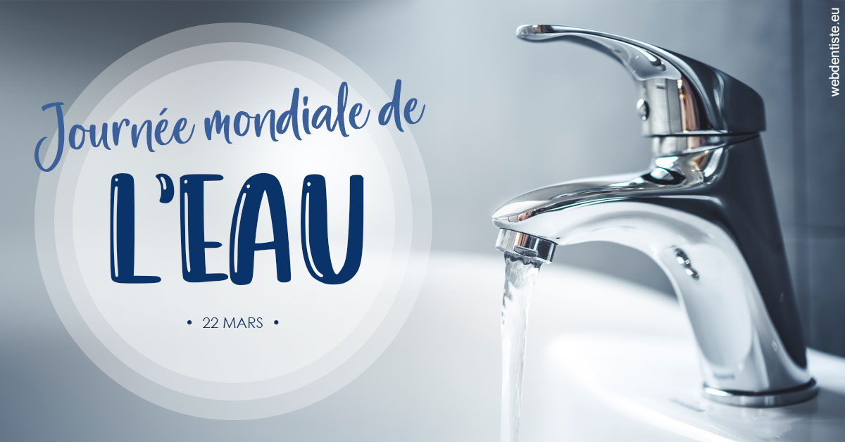 https://www.dr-renard-orthodontiste.fr/La journée de l'eau 2