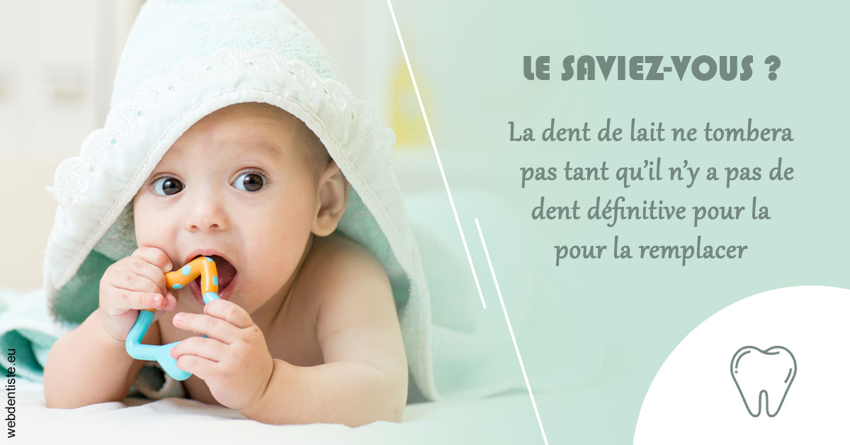 https://www.dr-renard-orthodontiste.fr/La dent de lait 2