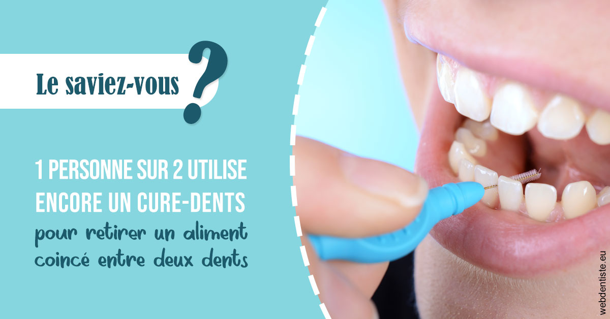https://www.dr-renard-orthodontiste.fr/Cure-dents 1