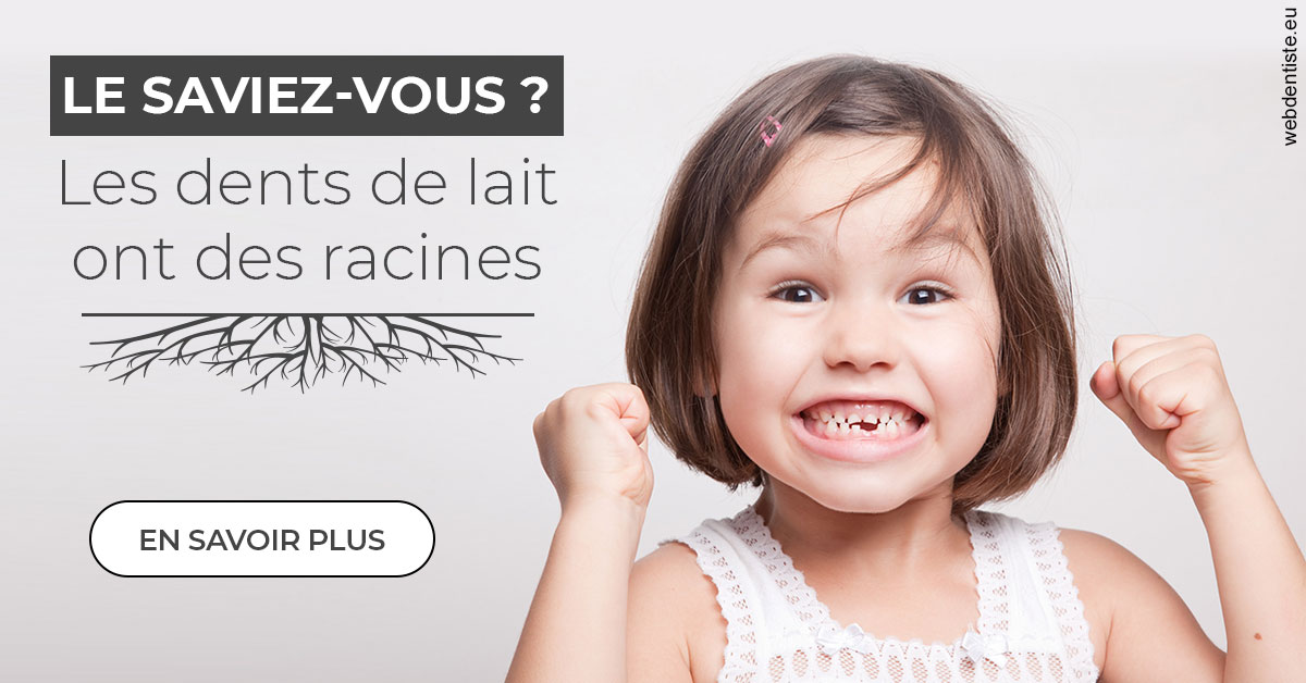 https://www.dr-renard-orthodontiste.fr/Les dents de lait