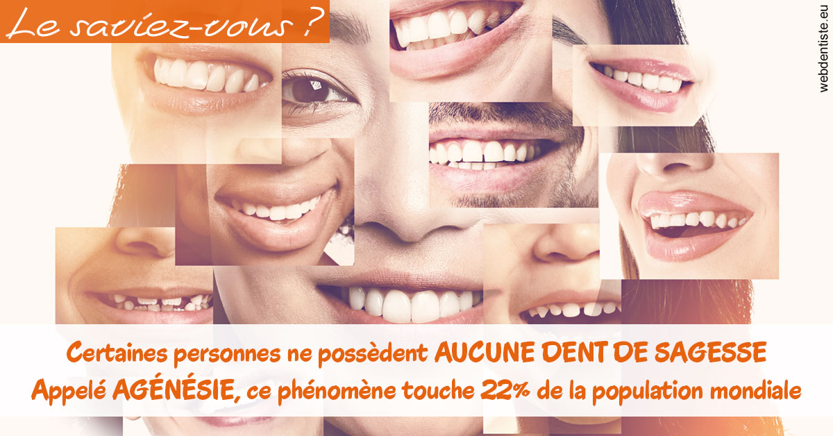 https://www.dr-renard-orthodontiste.fr/Agénésie 2