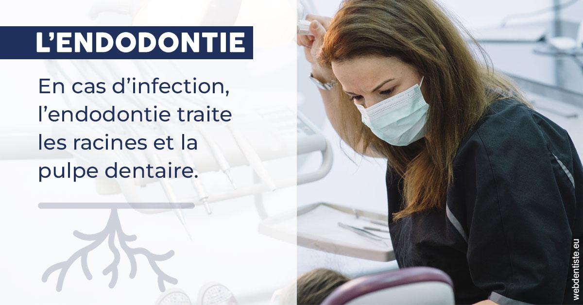 https://www.dr-renard-orthodontiste.fr/L'endodontie 1