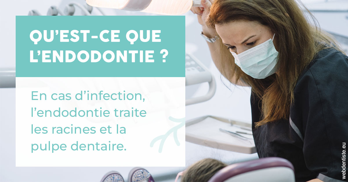 https://www.dr-renard-orthodontiste.fr/2024 T1 - Endodontie 01