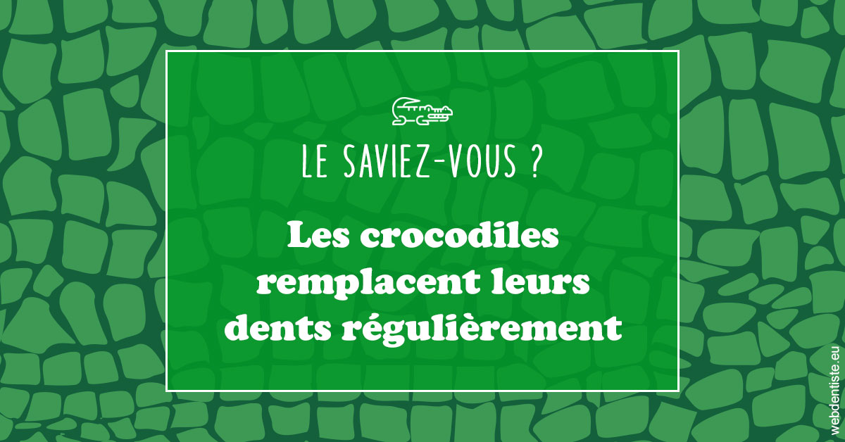 https://www.dr-renard-orthodontiste.fr/Crocodiles 1