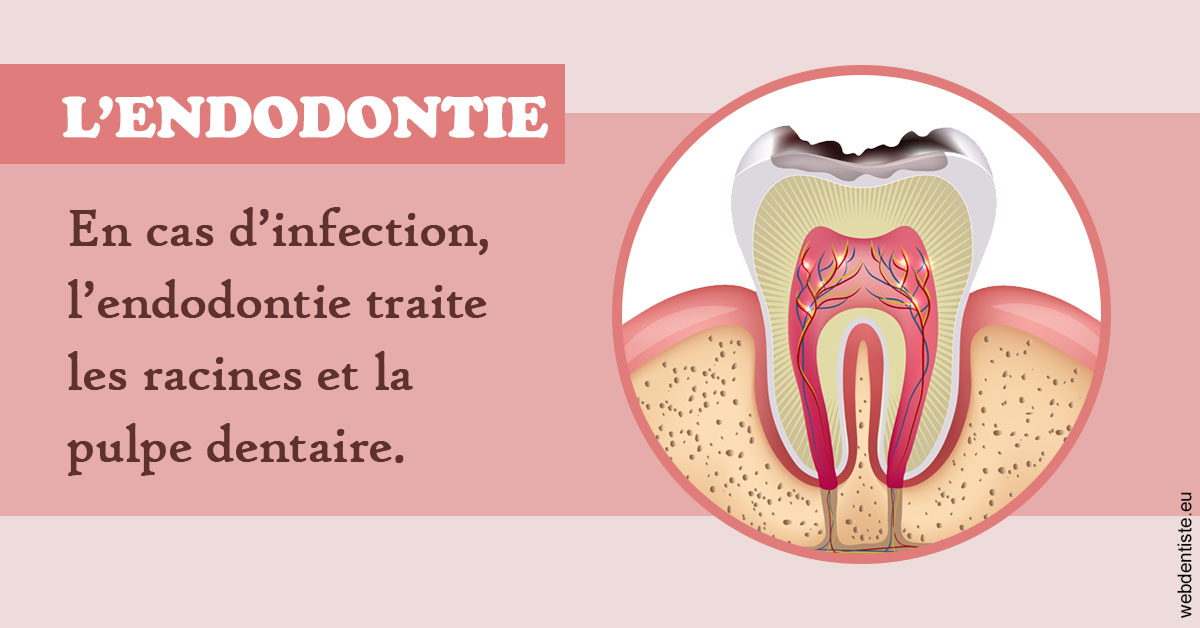 https://www.dr-renard-orthodontiste.fr/L'endodontie 2